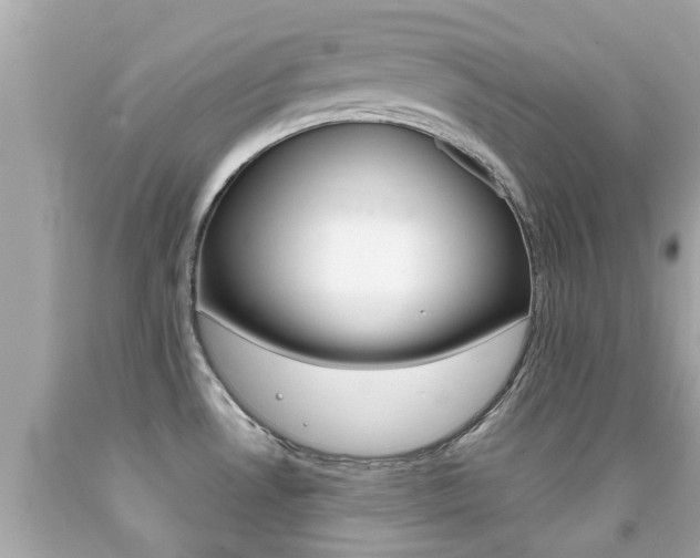 X0000091861530200709050946