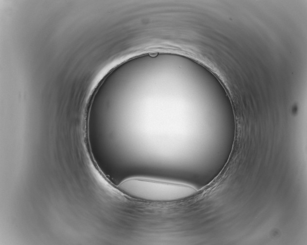 X0000091861531200709050946