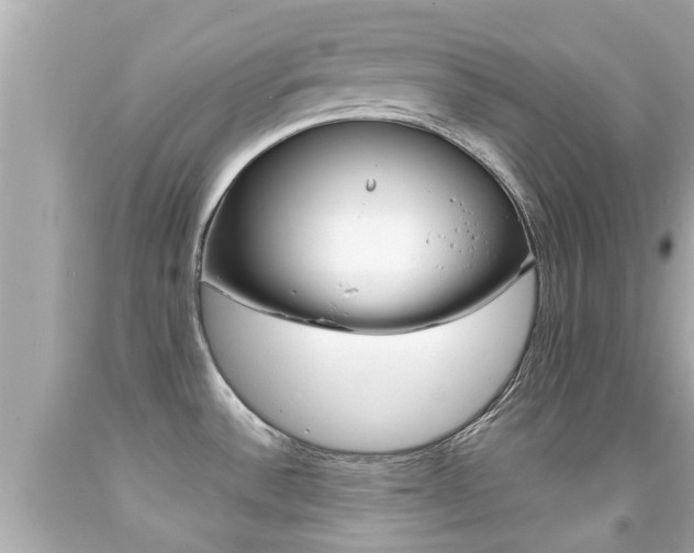X0000091861532200709050946