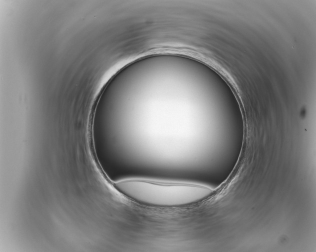X0000091861533200709050946