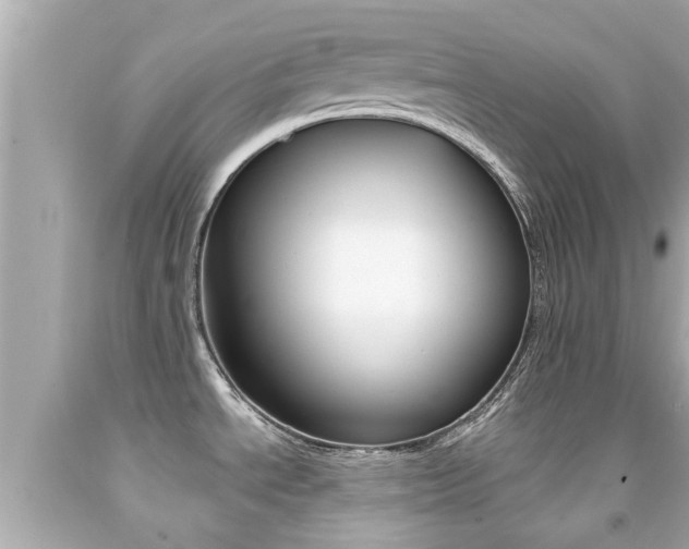 X0000091861534200709050946