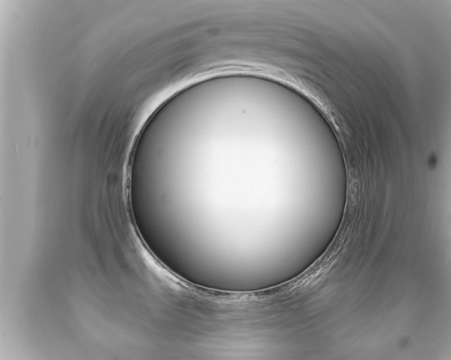 X0000091861535200709050946