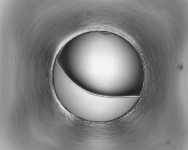 X0000091861536200709050946