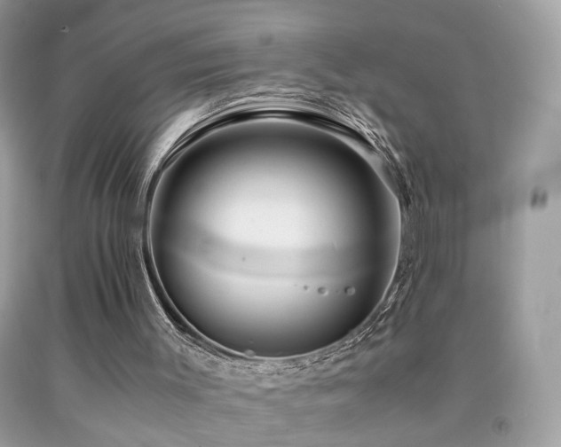 X0000091860003200709051218