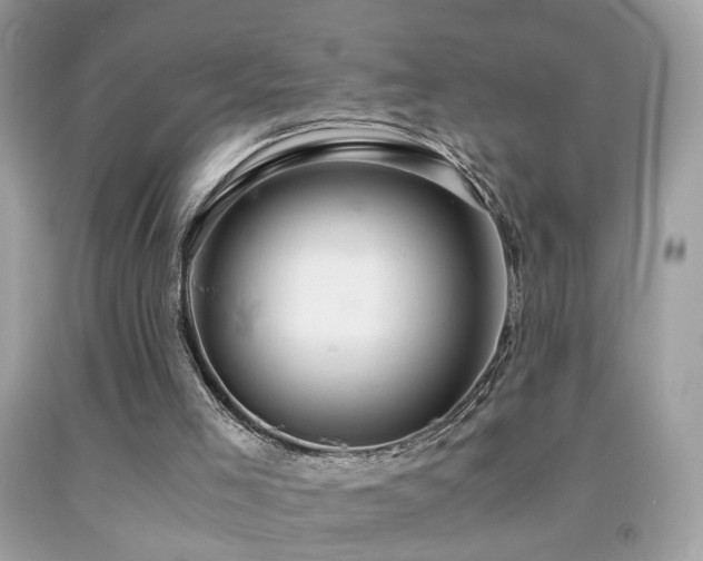 X0000091860005200709051218