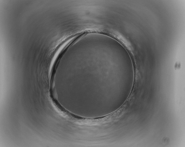 X0000091860009200709051218