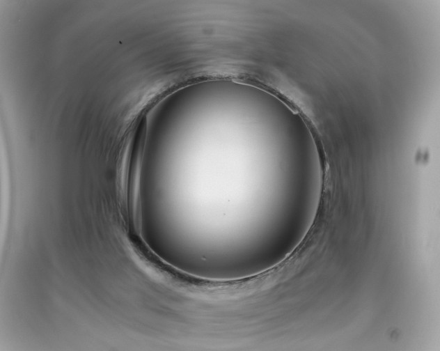 X0000091860013200709051218