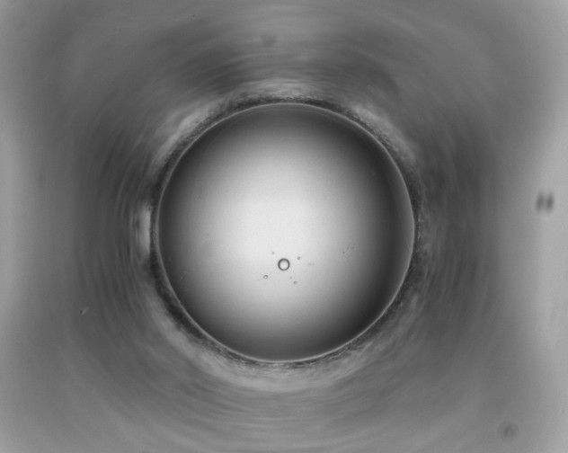 X0000091860014200709051218