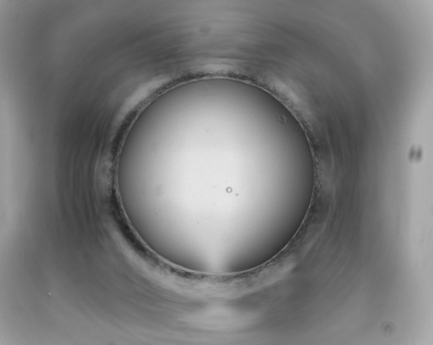 X0000091860016200709051217