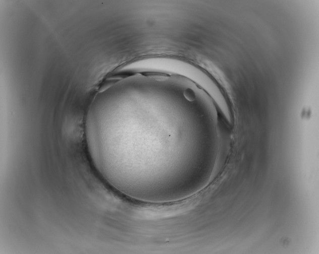 X0000091860017200709051217