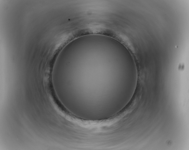 X0000091860018200709051217