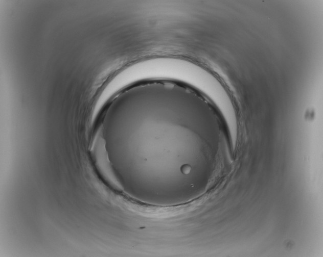 X0000091860019200709051217