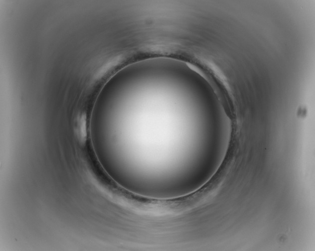 X0000091860020200709051217