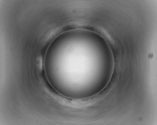 X0000091860022200709051217