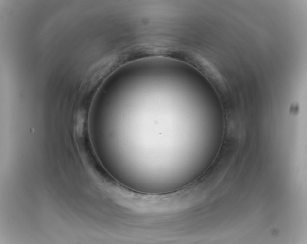 X0000091860026200709051217