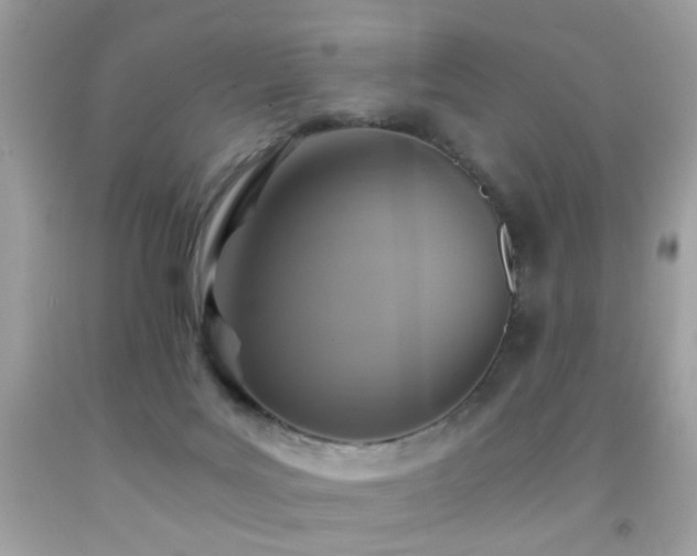 X0000091860027200709051217