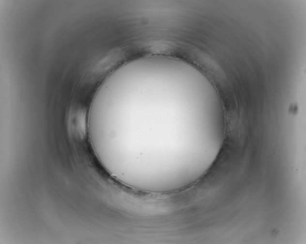 X0000091860028200709051217