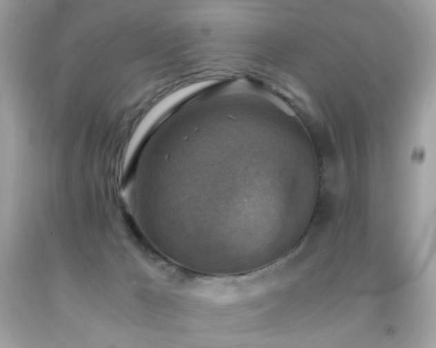 X0000091860029200709051217