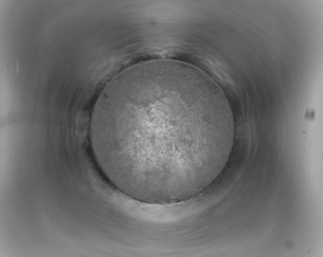 X0000091860030200709051217