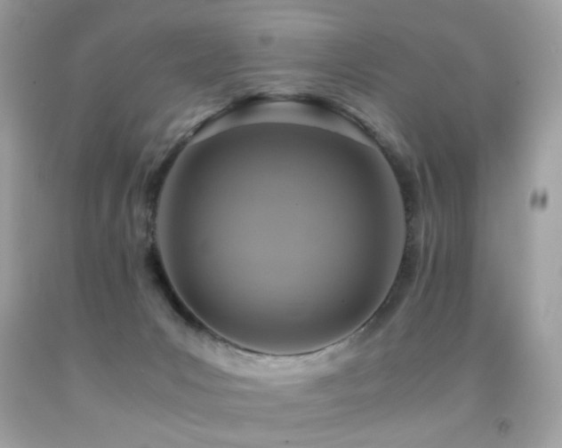 X0000091860031200709051217