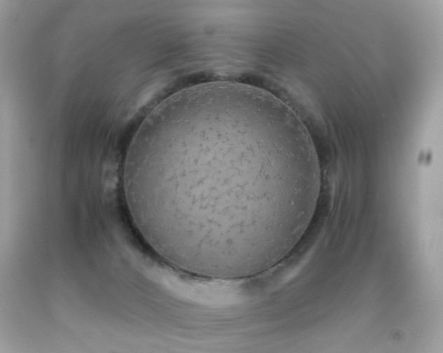 X0000091860032200709051217