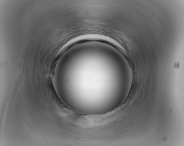 X0000091860033200709051217