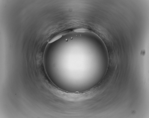 X0000091860034200709051217