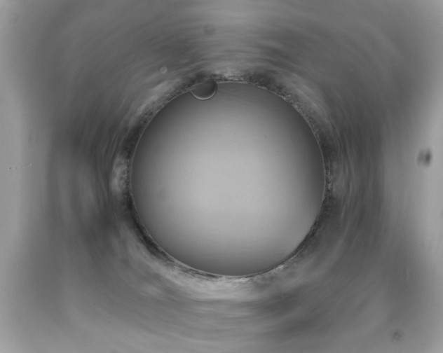 X0000091860036200709051217