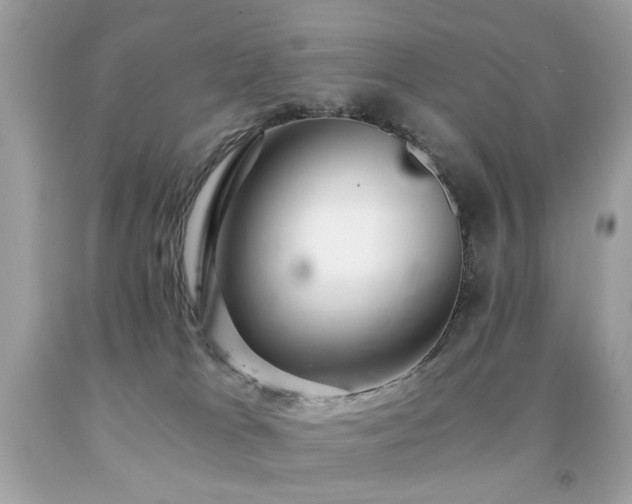 X0000091860037200709051217