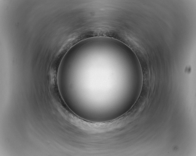 X0000091860038200709051217