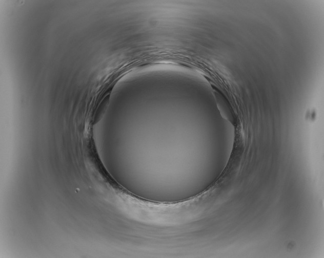 X0000091860039200709051217