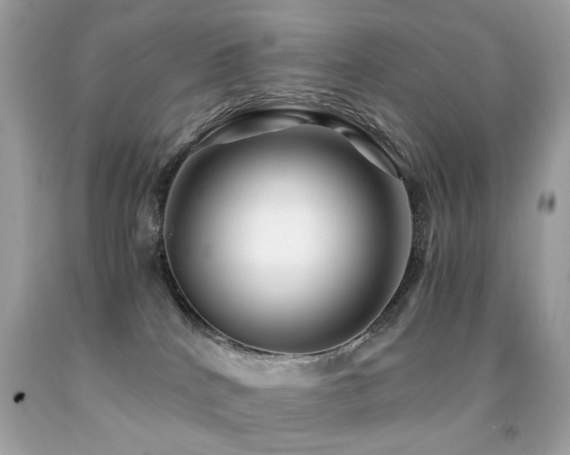 X0000091860040200709051217