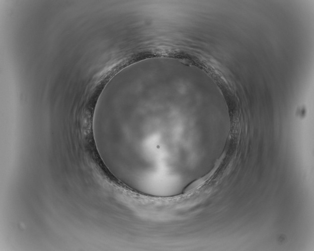 X0000091860043200709051217