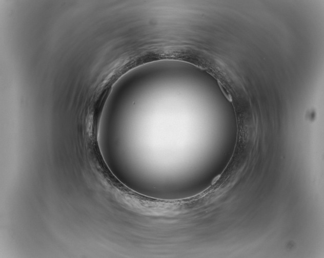 X0000091860044200709051217