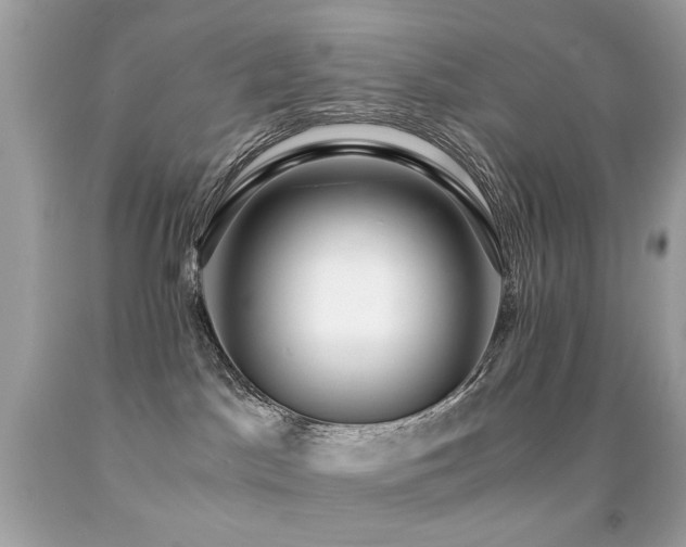 X0000091860045200709051217