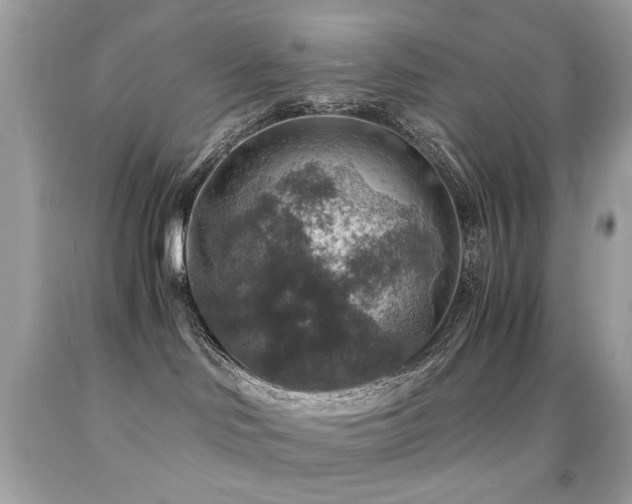 X0000091860046200709051217