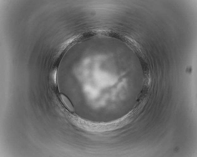 X0000091860047200709051217