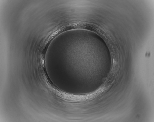 X0000091860048200709051217