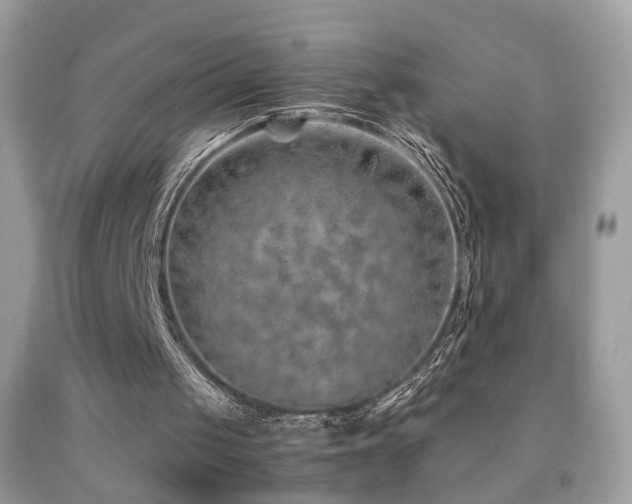 X0000091860049200709051216