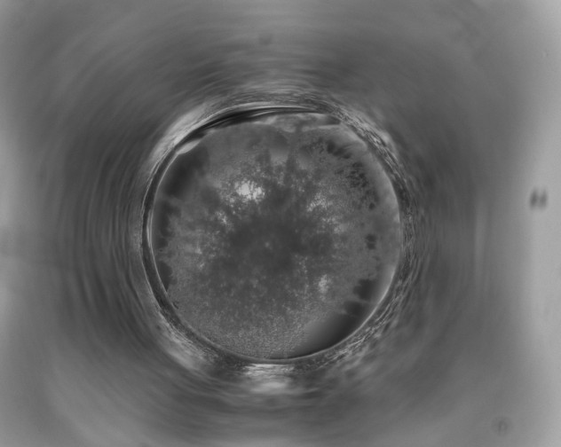 X0000091860051200709051216