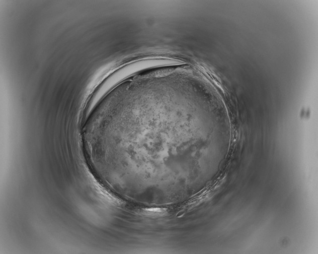 X0000091860053200709051217