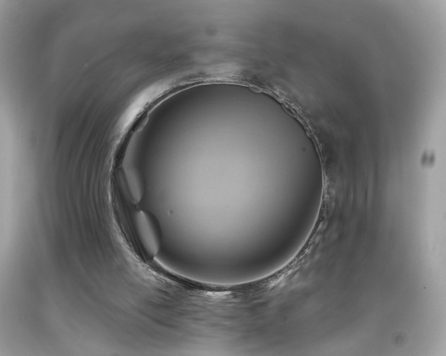 X0000091860054200709051217