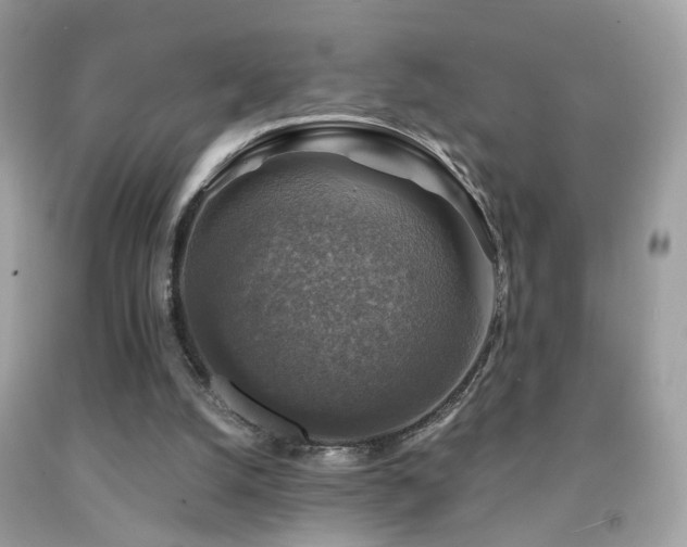 X0000091860056200709051217