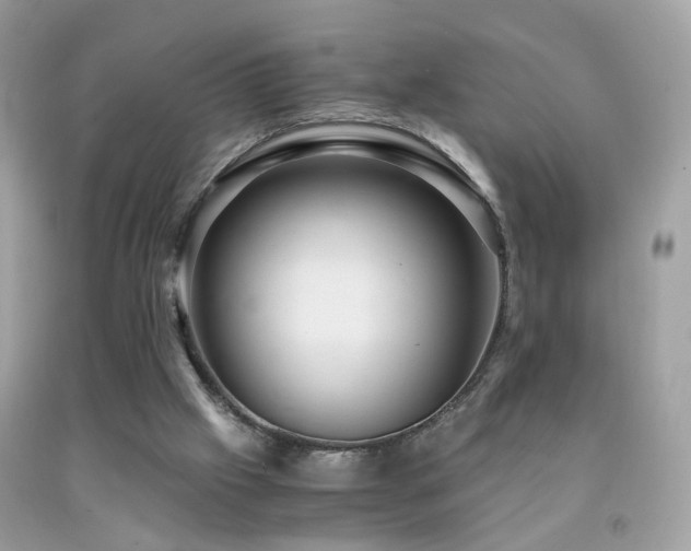 X0000091860057200709051217