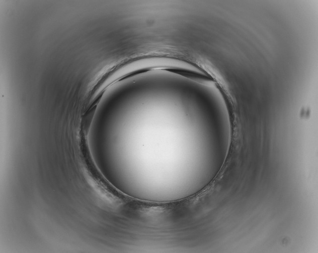 X0000091860058200709051217