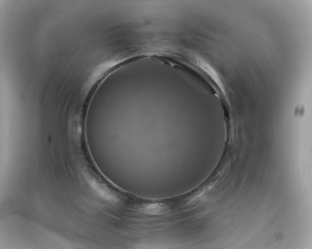 X0000091860059200709051217