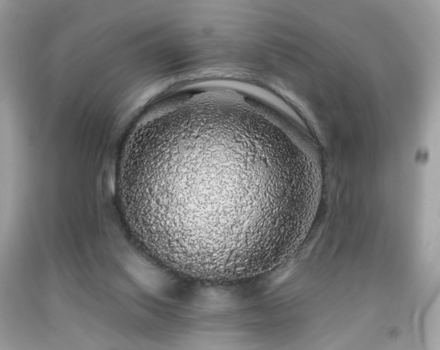 X0000091860062200709051217