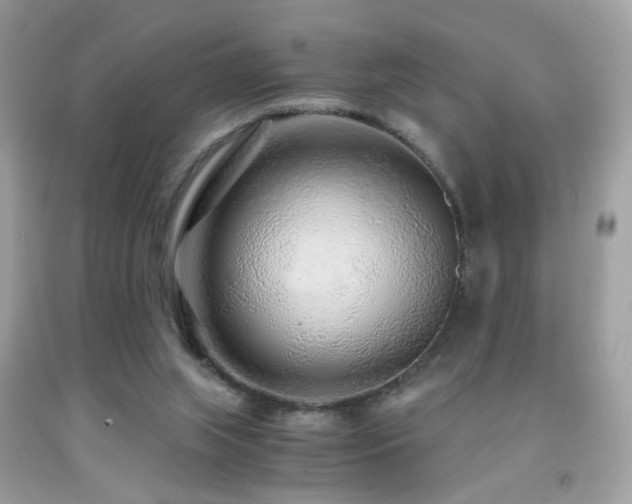 X0000091860063200709051217