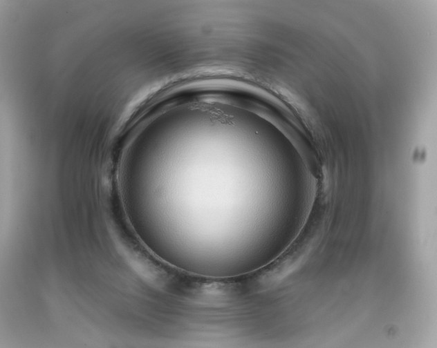 X0000091860064200709051217