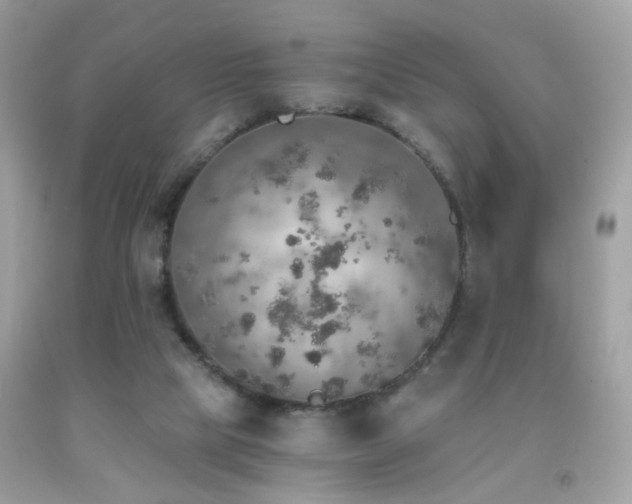 X0000091860065200709051217